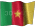 cameroonflag